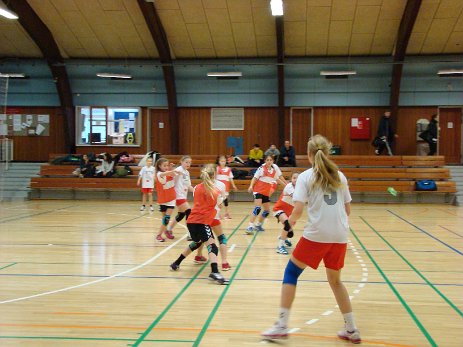 DSC06521 null